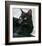 Black Cat Portrait-Robert Mcclintock-Framed Art Print