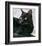 Black Cat Portrait-Robert Mcclintock-Framed Art Print