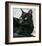 Black Cat Portrait-Robert Mcclintock-Framed Art Print