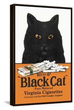 black cat cigarettes Black Cat Pure Matured Virginia Cigarettes Premium Giclee Print