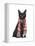 Black Cat, Red Scarf-Fab Funky-Framed Stretched Canvas