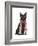 Black Cat, Red Scarf-Fab Funky-Framed Art Print