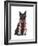 Black Cat, Red Scarf-Fab Funky-Framed Art Print