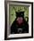 Black Cat Winery Salem-Ryan Fowler-Framed Art Print