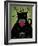 Black Cat Winery Salem-Ryan Fowler-Framed Premium Giclee Print