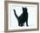 Black Cat-DLILLC-Framed Photographic Print