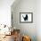 Black Cat-DLILLC-Framed Photographic Print displayed on a wall