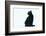 Black Cat-DLILLC-Framed Photographic Print