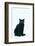 Black Cat-DLILLC-Framed Photographic Print