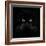 Black Cat-Lori Hutchison-Framed Photographic Print