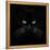 Black Cat-Lori Hutchison-Framed Stretched Canvas