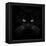 Black Cat-Lori Hutchison-Framed Stretched Canvas