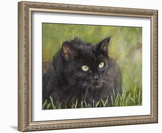 Black Cat-Sarah Davis-Framed Giclee Print