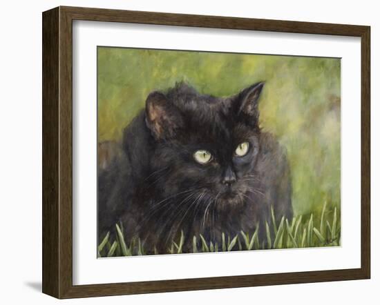 Black Cat-Sarah Davis-Framed Giclee Print