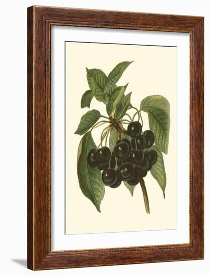 Black Cherries-John Wright-Framed Art Print