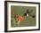 Black-Chinned Hummingbird, Uvalde County, Hill Country, Texas, USA-Rolf Nussbaumer-Framed Photographic Print