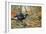 Black Cock Grouse by a Stream-Carl Donner-Framed Giclee Print