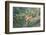 Black-Collared Hawk (Busarellus Nigricollis) in Flight, Pantanal, Mato Grosso, Brazil-G&M Therin-Weise-Framed Photographic Print