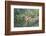 Black-Collared Hawk (Busarellus Nigricollis) in Flight, Pantanal, Mato Grosso, Brazil-G&M Therin-Weise-Framed Photographic Print