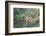 Black-Collared Hawk (Busarellus Nigricollis) in Flight, Pantanal, Mato Grosso, Brazil-G&M Therin-Weise-Framed Photographic Print