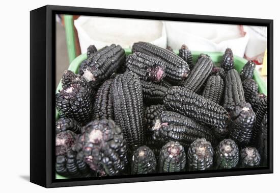 Black Corn Grown High in the Peruvian Andes, Used to Make Chica, Peru-Mallorie Ostrowitz-Framed Premier Image Canvas