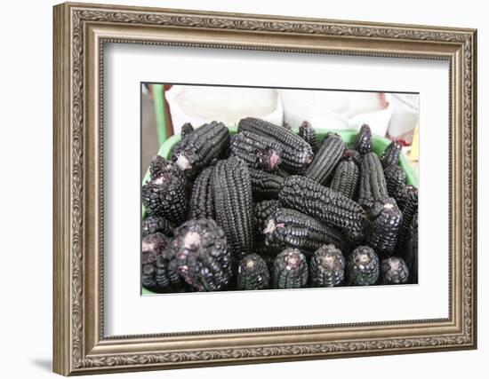 Black Corn Grown High in the Peruvian Andes, Used to Make Chica, Peru-Mallorie Ostrowitz-Framed Photographic Print