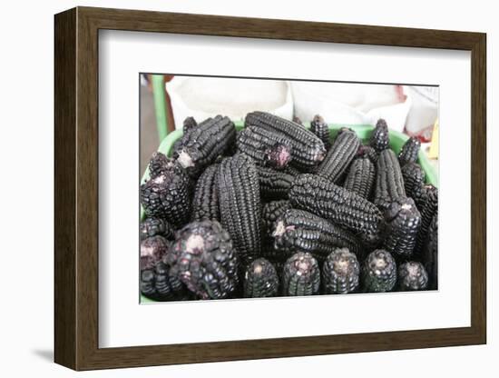 Black Corn Grown High in the Peruvian Andes, Used to Make Chica, Peru-Mallorie Ostrowitz-Framed Photographic Print