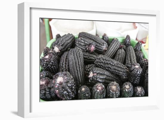 Black Corn Grown High in the Peruvian Andes, Used to Make Chica, Peru-Mallorie Ostrowitz-Framed Photographic Print