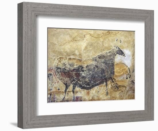 Black Cow Cave Painting at Lascaux-null-Framed Photographic Print