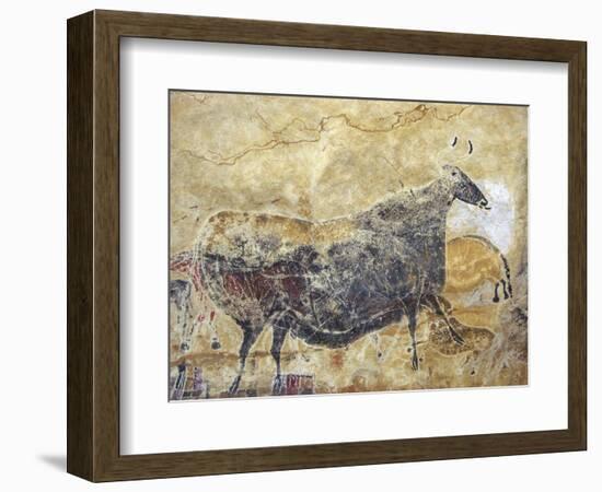 Black Cow Cave Painting at Lascaux-null-Framed Photographic Print