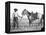 Black Cowboy and Horse, C.1890-1920-null-Framed Premier Image Canvas