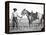 Black Cowboy and Horse, C.1890-1920-null-Framed Premier Image Canvas