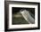 Black-Crowned Night Heron. Georgetown, Guyana-Pete Oxford-Framed Photographic Print