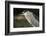 Black-Crowned Night Heron. Georgetown, Guyana-Pete Oxford-Framed Photographic Print