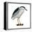 Black-Crowned Night Heron (Nycticorax Nycticorax), Birds-Encyclopaedia Britannica-Framed Stretched Canvas