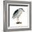 Black-Crowned Night Heron (Nycticorax Nycticorax), Birds-Encyclopaedia Britannica-Framed Art Print