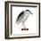 Black-Crowned Night Heron (Nycticorax Nycticorax), Birds-Encyclopaedia Britannica-Framed Art Print