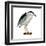 Black-Crowned Night Heron (Nycticorax Nycticorax), Birds-Encyclopaedia Britannica-Framed Art Print