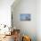 Black-Crowned Night Heron-Joe McDonald-Framed Premier Image Canvas displayed on a wall
