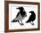 Black Crows-sharpner-Framed Art Print