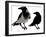 Black Crows-sharpner-Framed Art Print