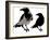 Black Crows-sharpner-Framed Art Print