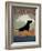 Black Dog Canoe-Ryan Fowler-Framed Art Print