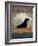 Black Dog Canoe-Ryan Fowler-Framed Art Print