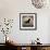 Black Dog Canoe-Ryan Fowler-Framed Premium Giclee Print displayed on a wall