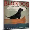 Black Dog Lake Champlain-Ryan Fowler-Mounted Art Print