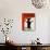 Black Dog Licorice-Ken Bailey-Premium Giclee Print displayed on a wall