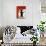 Black Dog Licorice-Ken Bailey-Mounted Premium Giclee Print displayed on a wall