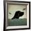 Black Dog Swim-Ryan Fowler-Framed Art Print