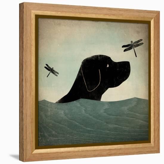 Black Dog Swim-Ryan Fowler-Framed Stretched Canvas